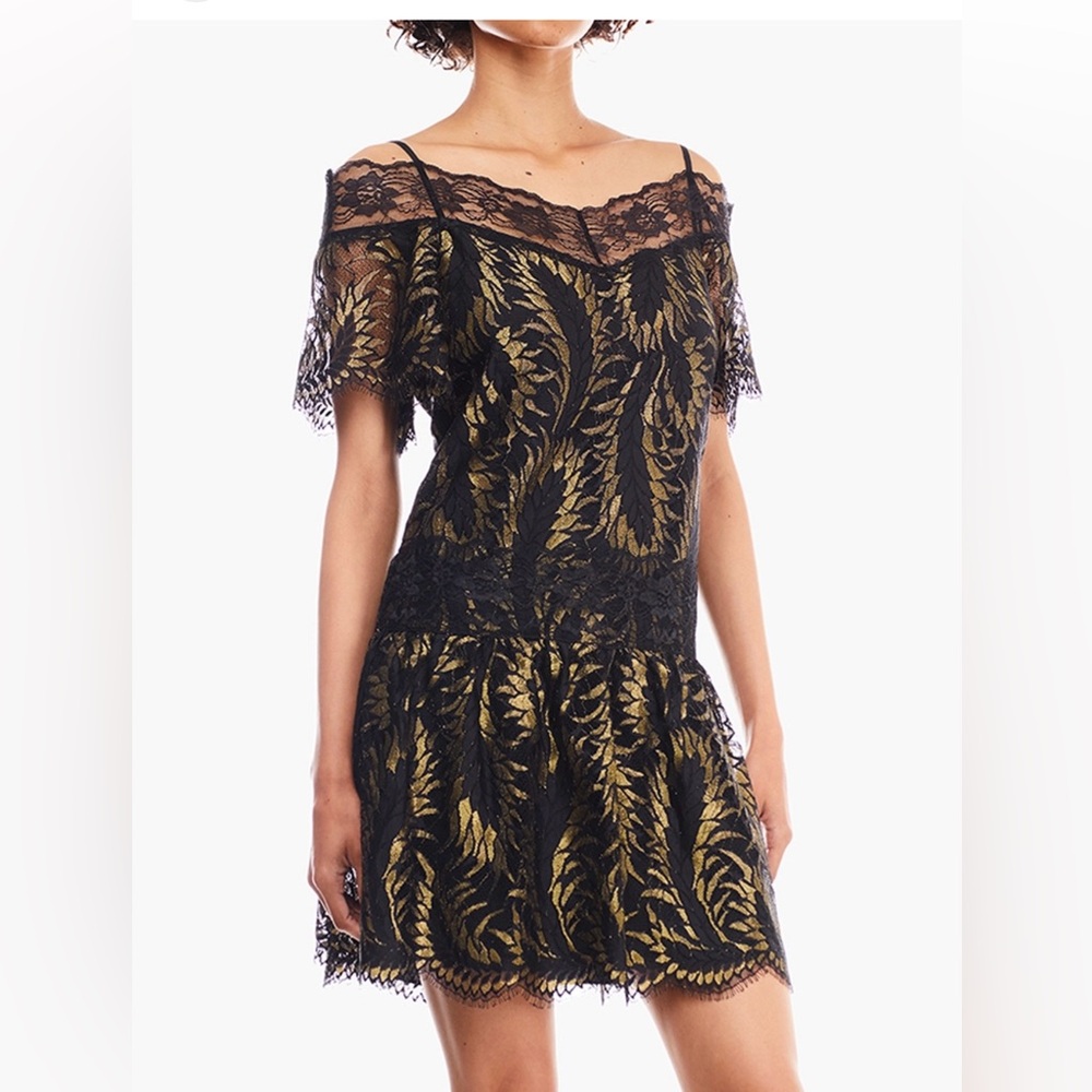 Juicy Couture Petrel Lurex Black Lace Mini Dress - Women, XS/2 - Picture 5 of 8